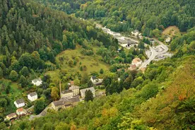 泰州市生活垃圾焚烧发电二期扩建PPP项目的暂停公告图片