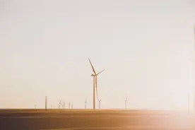 “桐城首富”折戟背后：盛运环保退市仅“一步之遥”图片