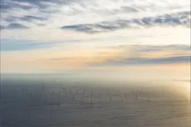 300MW！山东乐陵风电项目取得永久使用林地批复图片
