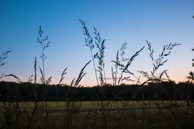 保卖业务这条正确的路，转转为何玩成了“负和游戏”？图片