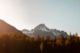 评论｜电力市场电费结算风险承担透析图片