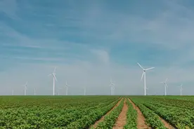 广东华润西江发电厂2×660MW工程主体建筑C标段招标公告图片