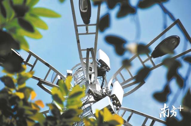 厚街网站建设报价（5G在加速）