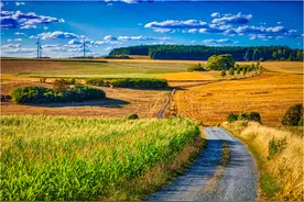 何巧女“告别”东方园林“女首富”在突围后谢幕图片