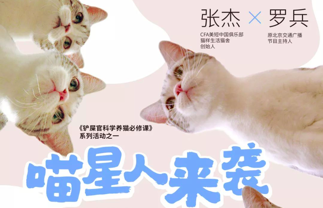 周末商场里奥特曼“撞上”小怪兽！到底谁的粉丝多？