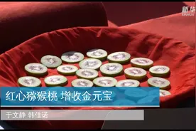 红心猕猴桃 增收金元宝视频封面