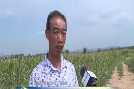 潞城白家沟村书记上电视啦，瞧瞧都说啥了？视频封面