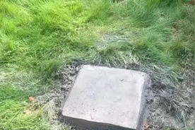 住户受采光难困扰，欲装“定日镜”反射阳光被罚图片