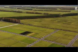 一粒稻米的前世今生——丰收时节绿色农业发展掠影视频封面