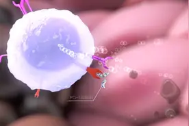 多瘤种布局取得新突破！君实生物最新研究成果亮相CSCO学术年会视频封面