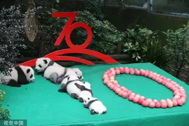 专属“花式告白”祖国，全国各地洋溢“中国红”图片