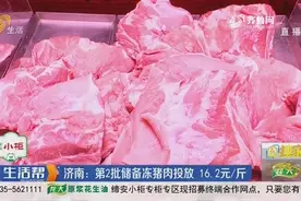 济南：第2批储备冻猪肉投放 16.2元/斤视频封面