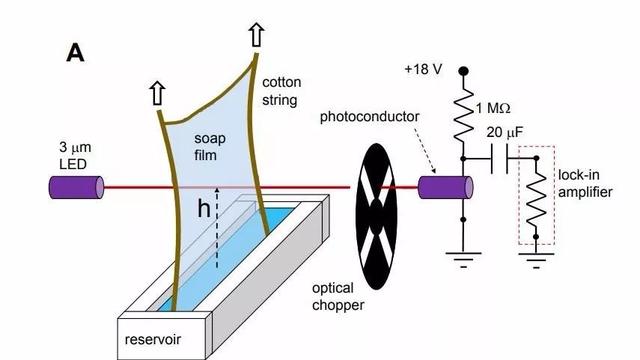 瓜尔胶是什么东西 瓜尔胶是什么东西做的