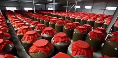 厉害了，科尔沁区