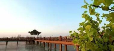 厉害了，科尔沁区