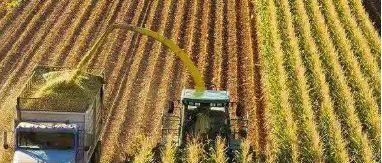 厉害了，科尔沁区