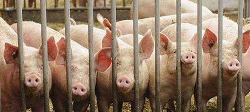 厉害了，科尔沁区