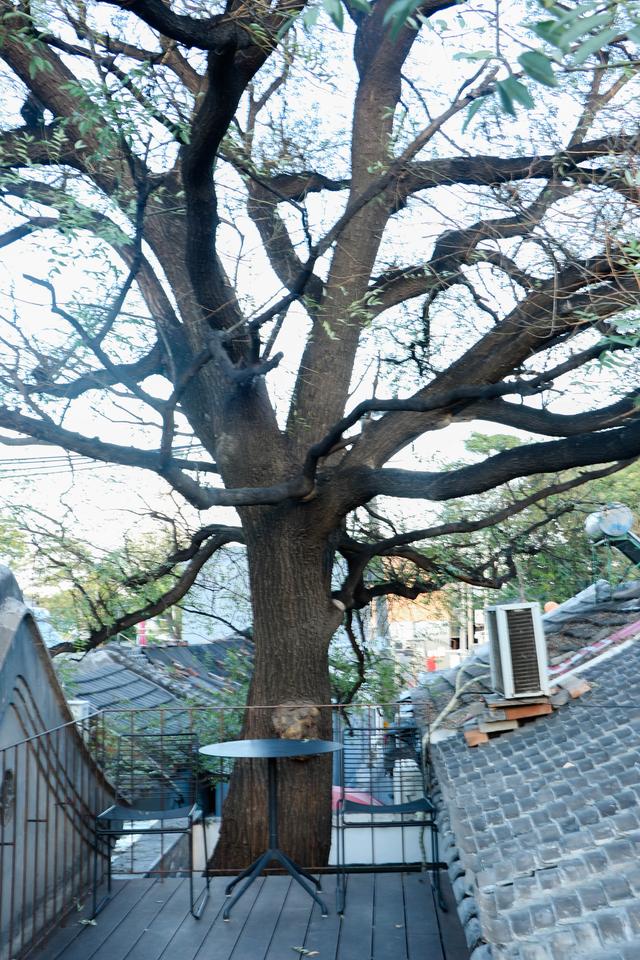 2019，“拔草”这件小事