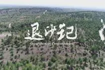 【中国新视野】70年中国治沙显功：森林植被覆盖率由8.6%提升到22.9%视频封面