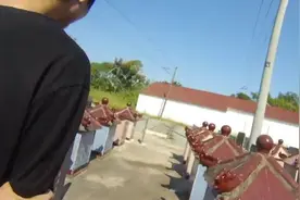 盗墓者解锁陪葬手机，试出密码1到6视频封面