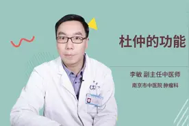 杜仲的功能