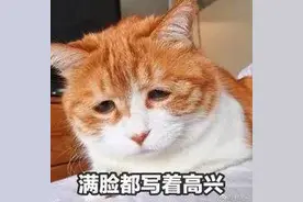 今年十一“代相亲”火了？600块一次，还能个性定制图片