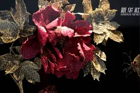 走近赫哲族 探秘精巧的“鱼皮制作技艺”视频封面