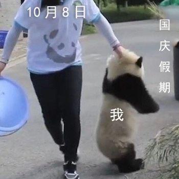 600ml身体乳能带上火车吗
