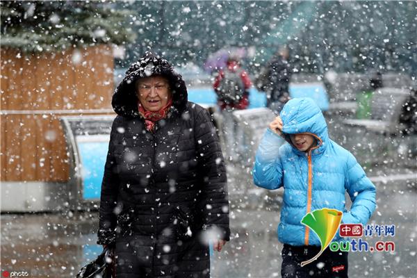 莫斯科初雪纷飞 片片洁白如柳絮