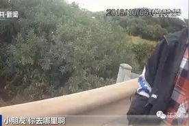 9岁男孩返程途中开溜，“六亲不认”的样子就像此刻的我图片