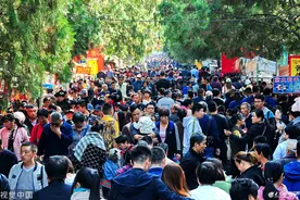 济南：九九重阳 市民前往千佛山登高祈福 (/8)图片