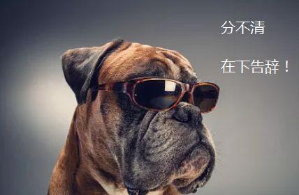 你网购的“阿迪达斯”可能是假货！厂家技术人员：“高仿”难鉴别