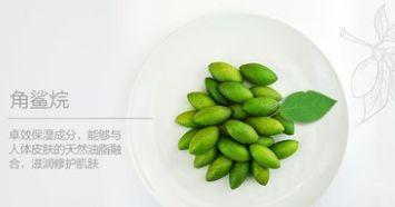 学生党平价绵羊油身体乳