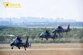 陆军“风雷”飞行表演队抵津参加2019直博会图片