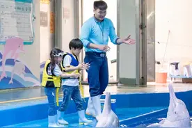 港澳导游初次横琴带团，有啥体会？图片