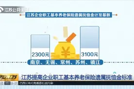 好消息！江苏将提高企业职工基本养老保险遗属抚恤金标准视频封面