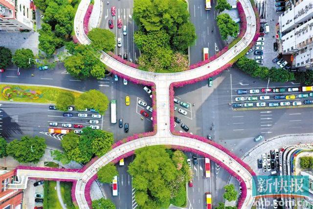 广州绿化网站建设（广州自创一套桥梁绿化技术体系 空中花廊四季不败）