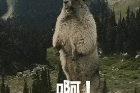 奶奶送孙女上学，一扭头，娃不见了……图片