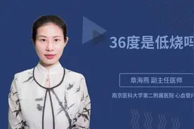 36度是低烧吗视频封面