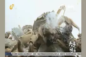 大寻味：黄河口大闸蟹视频封面