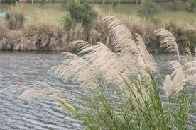 厦门这座被私藏的世外桃源，风景绝佳而隐于市！山景、湖景、海景全都有……图片