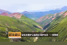 设生态管护公益岗位 保护生态“一举两得”视频封面