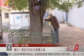 痛心！潍坊200岁古槐遭火烧视频封面