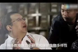 最美奋斗者丨湘籍植物学家钟扬：16年收集4000多万颗种子图片