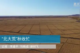 “北大荒”秋收忙视频封面