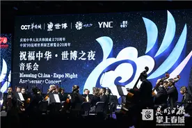 盛事华章！“世博之夜”音乐会在昆举行图片