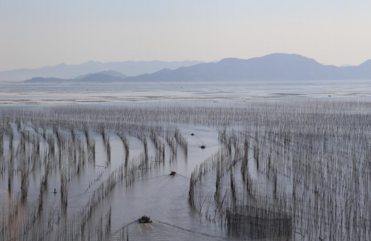 梦幻滩涂旅摄胜地——福建霞浦