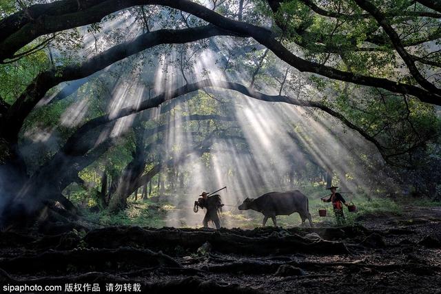 梦幻滩涂旅摄胜地——福建霞浦