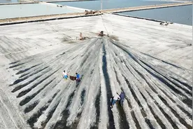 盐业“巨无霸”中盐混改引13家投资者，他们都是什么来头？图片