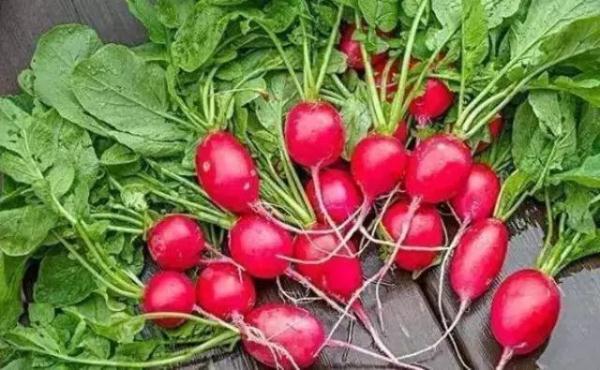 这个皮别扔！把它做成美味，消胀又降压，还能缓解多种疼痛，太实用啦